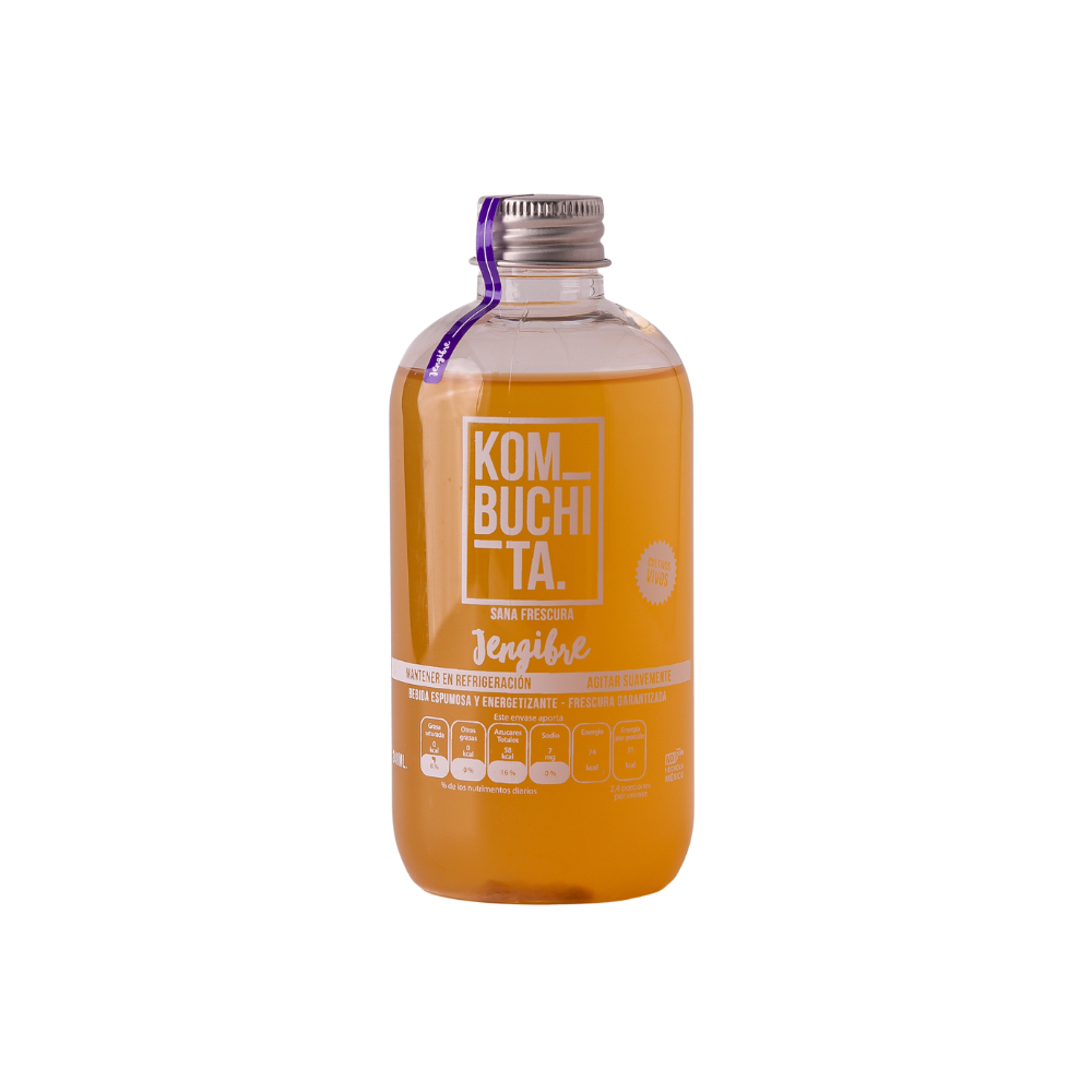 Caja con 6 kombuchita jengibre 240 ml.