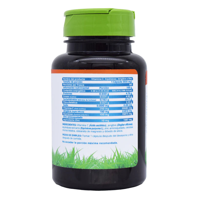 Vitaminas y minerales