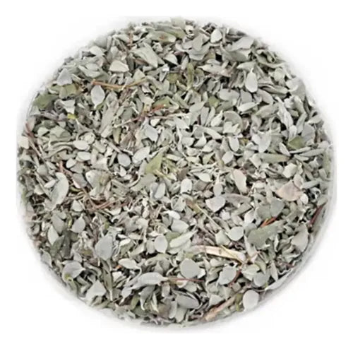 Menta blanca deshidratada a granel