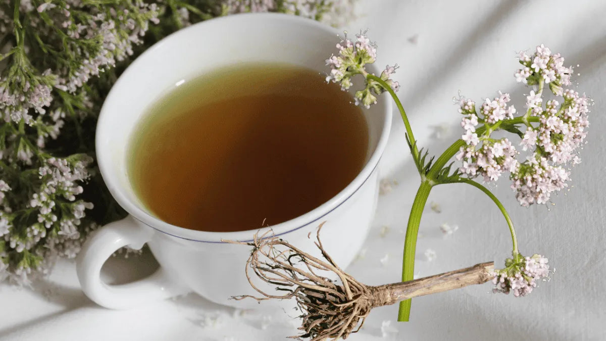 Té valeriana a granel